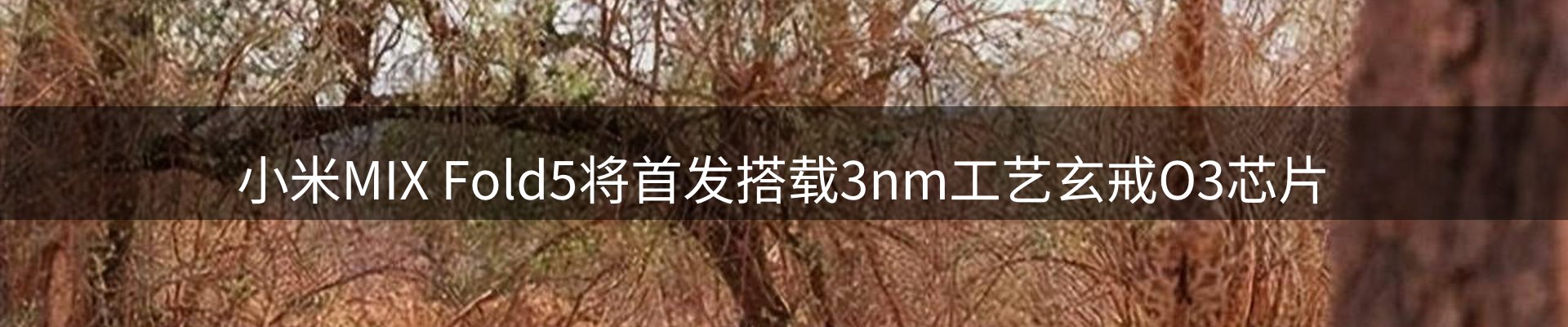 资讯中心